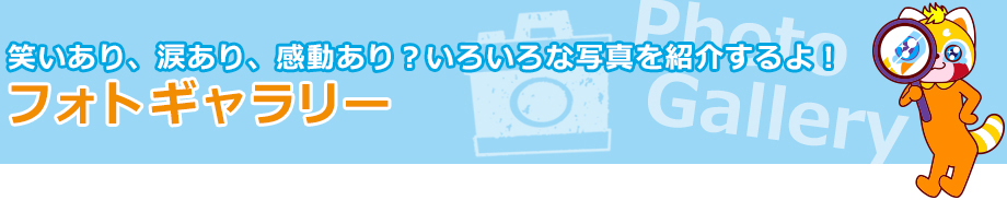 笑いあり、涙あり、感動あり？いろいろな写真を紹介するよ！フォトギャラリー